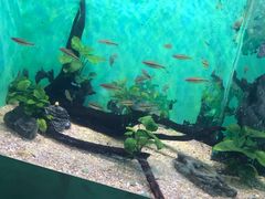 -常州海昌海洋探索馆