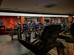 -马尼拉半岛酒店