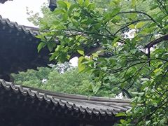 -钱王祠