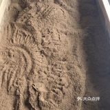 养生局 | 躺瘦.酵素浴