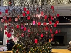 -春晖园度假酒店温泉