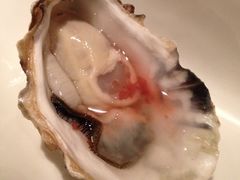 G-Oyster Talks 四度蚝法餐厅
