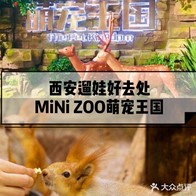 六一放电|可以和动物亲密接触的亲子乐园|团购价好划算～[礼花]