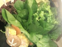 时蔬拼盘-洪氏嗨捞·猪肚鸡火锅(阳光天地店)