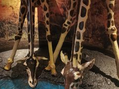 -上海海洋水族馆