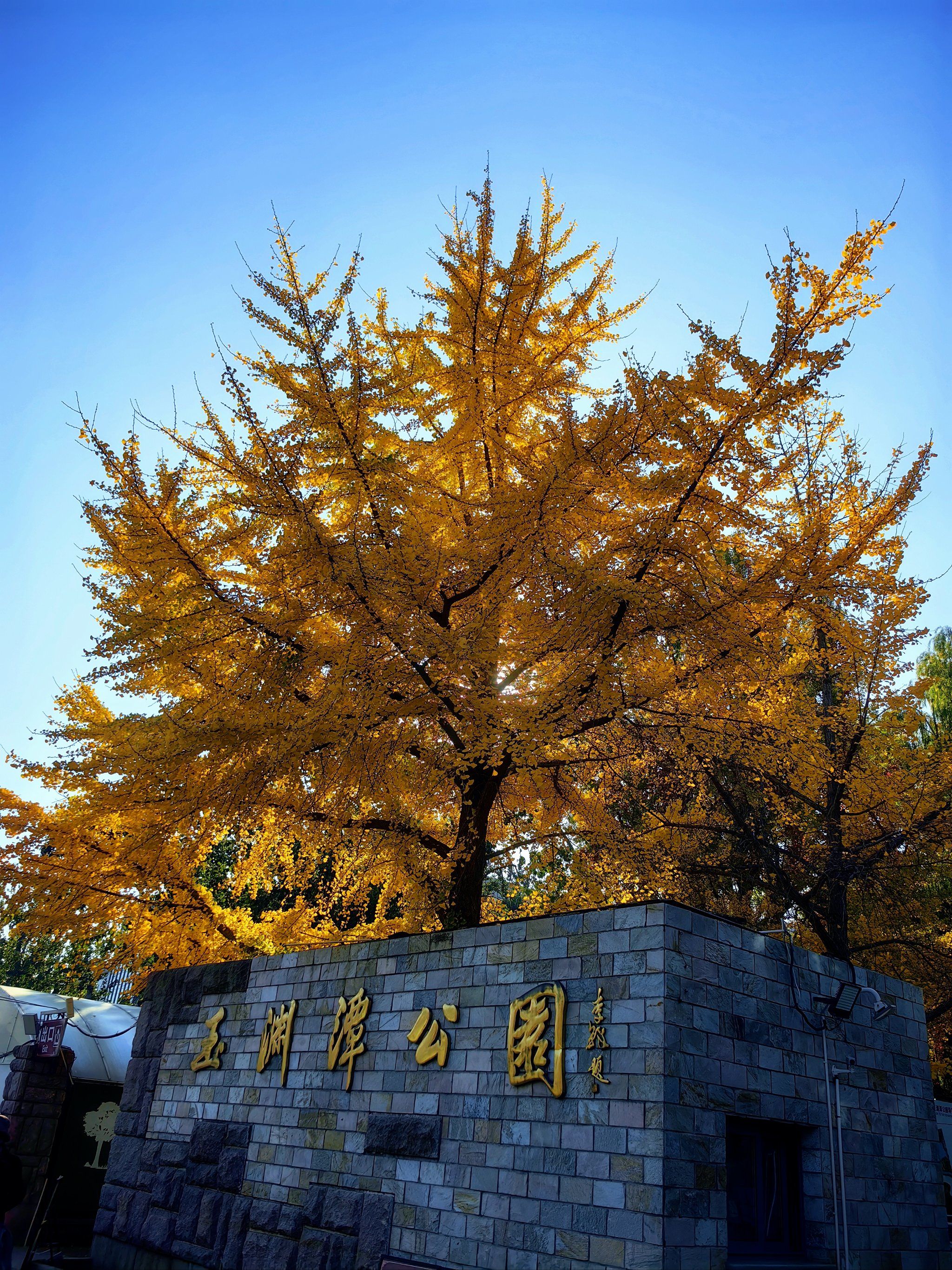 玉渊潭公园,一年四季都不会让人失望