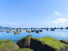 -海源公园