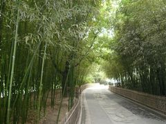 -紫竹院公园冰场