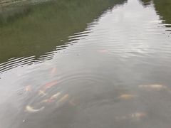 -宁波市保国寺古建筑博物馆