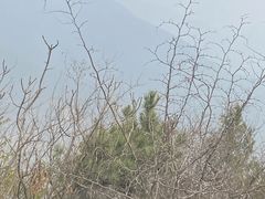 -妙峰山风景名胜区