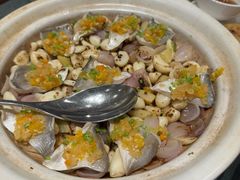 -新吉士·上海菜(浦东LCM置汇旭辉店)