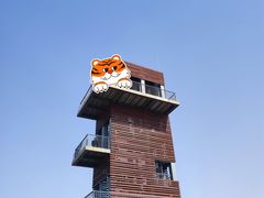 -春花秋色城市公园