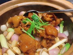 -望乡楼上海菜(日月光店)