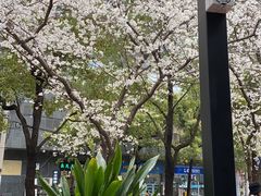 -玛格萝妮比萨屋(四平店)