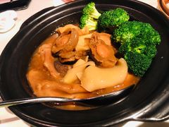 -皇朝会.经典传统粤菜(外滩店)