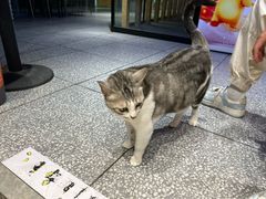 -谜盒子奇幻密室(南屏店)