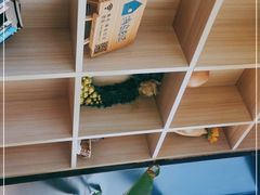-海岛日记(养马岛店)