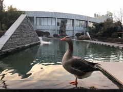 -河北霸州茗汤日月潭温泉