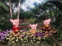 -北京植物园-展览温室