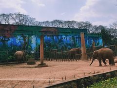 -昆明动物园