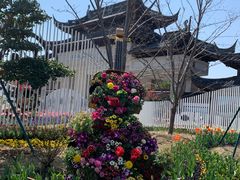 -苏州上方山国家森林公园