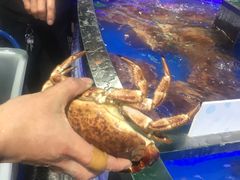 -盒马鲜生(莱蒙都会店)