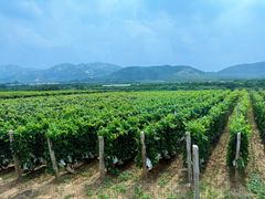 -大泽山风景名胜区