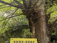 -大慈岩风景区