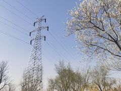 -永定河休闲森林公园