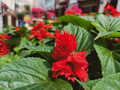 -太平馆西餐厅(北京路店)