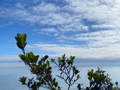 -梧桐山风景名胜区