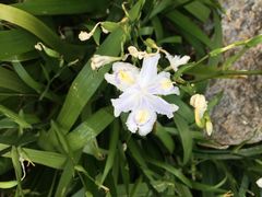 iphone_upload_pic-西安关中民俗艺术博物院