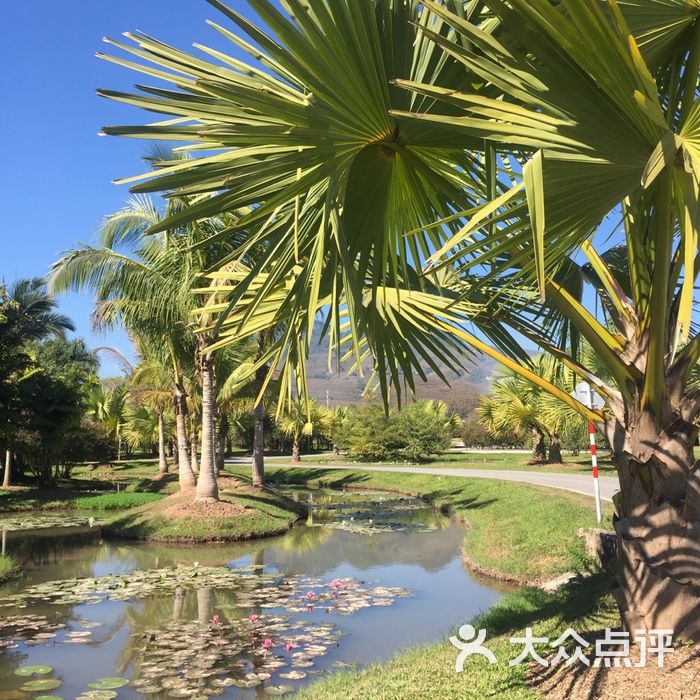 中國科學院西雙版納熱帶植物園