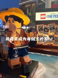 -乐高品牌旗舰店(人民广场店)