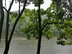 -黔灵山公园