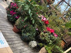 -胡桃里乐队酒馆(鎏嘉码头店)