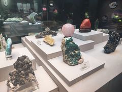 -湖南省地质博物馆