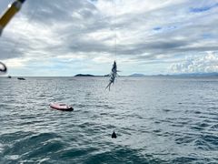 -小猫钓鱼海钓俱乐部(椰梦长廊店)