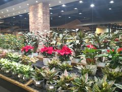 -果蔬好生活超市(乐堤港店)