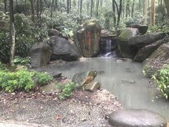 -福清灵石山国家森林公园