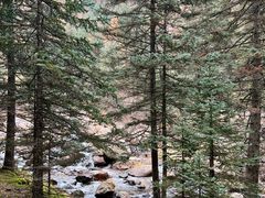 -芦芽山旅游度假区