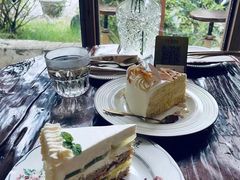 -Jo's Garden