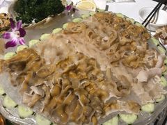 象拔蚌-强记海鲜·大排档(蛇口新街店)