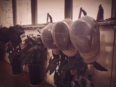 -尚剑击剑中心(铁山路馆)