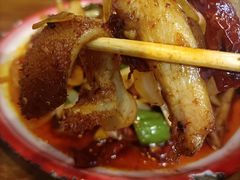 -柴窝堡22号辣子鸡·传承新疆菜