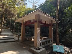 -火炉山森林公园