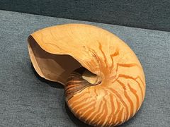 -上海中国航海博物馆