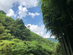 -藏龙百瀑风景区