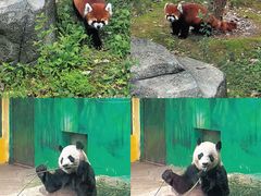 -杭州野生动物世界