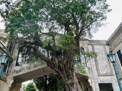 -赤坎·广东华侨国际旅游度假区